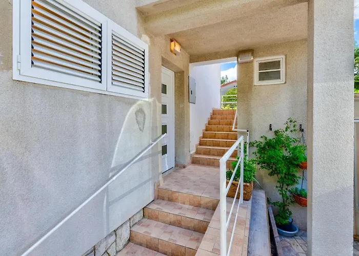 Benko N * 크리크베니카